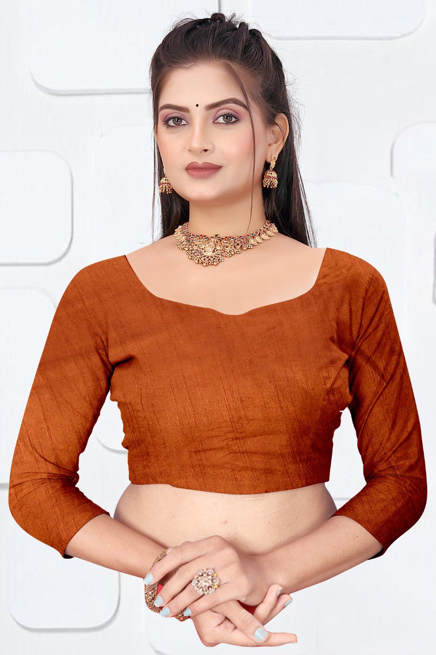 Orange Dola Silk Saree With Siroski Work Border