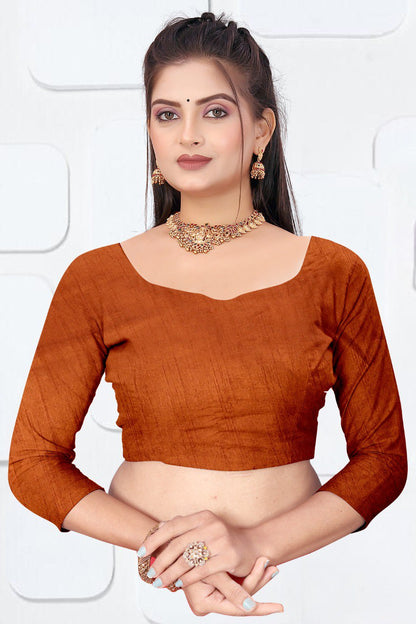 Orange Dola Silk Saree With Siroski Work Border